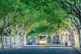 坐上嘉定53路，逛吃逛吃搭上秋天的末班车图片