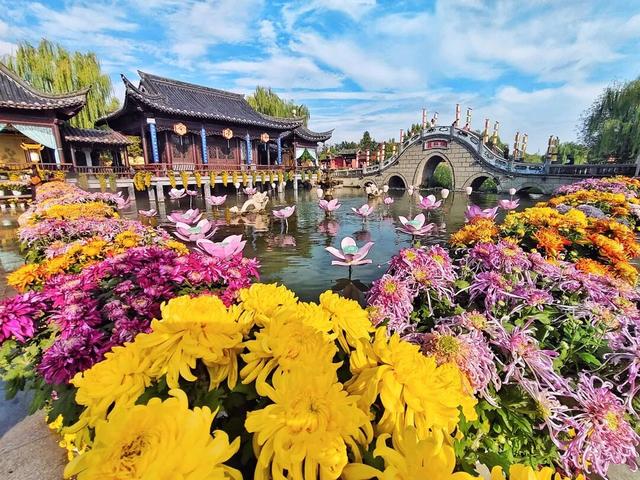菊花文化节，来开封就得这么玩~