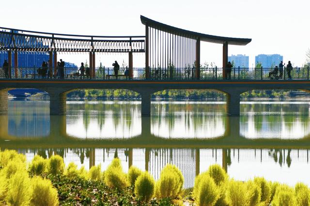 一湖两堤十二岛，玉河湿地公园正式开园迎客