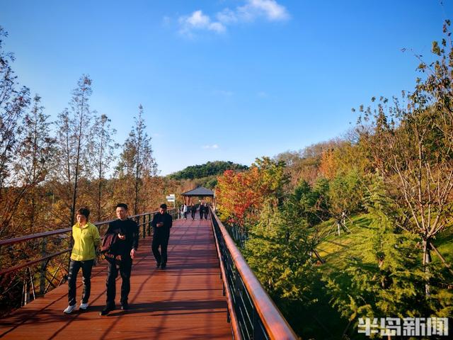 浮山叶斑斓 赏秋要趁早