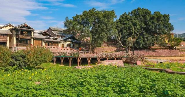 西昌着力打造国际阳光康养旅居目的地