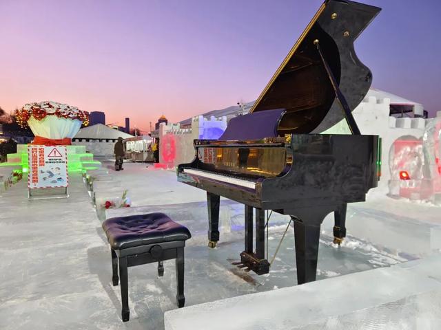 冰雪辽缘|雪落故乡，玫瑰、琴音唤远客