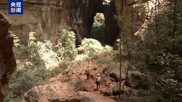 百米峡谷中藏着万年岩画 记者探访巴西佩鲁阿苏岩洞国家公园