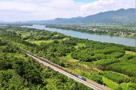 广西铁路部门义务植树打造绿色生态走廊图片