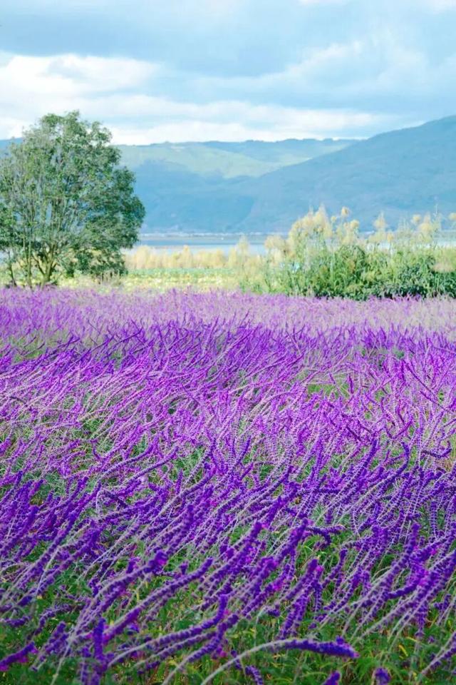 秋冬，来红河旅居吧！