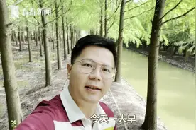 上海首对野放麋鹿宝宝向公众征名啦图片