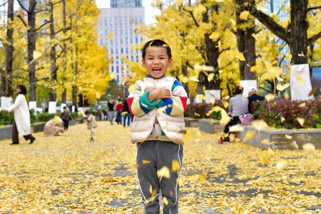 观山湖区:绿脉织城 四季变幻 绘就宜居新画卷