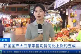 价格飞涨，有超市白菜卖100多元一颗，多家企业停售泡菜！韩国紧急从中国进口大白菜，主要供应给餐厅和食品加工企业等图片
