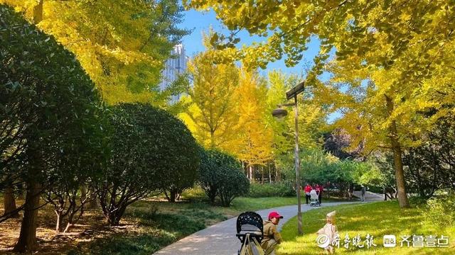 邂逅浪漫秋光，济南市多家公园景区秋色已备好