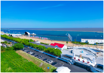 16+6，“走进申海”带你逛遍魔都海岸线