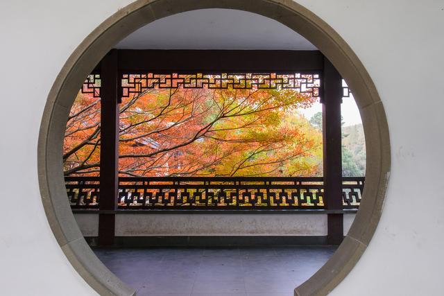 0元追！杭州徒步圈最强“顶流”上新，大片红枫爆红了