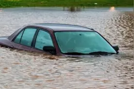 暴雨过后，“泡水车”还能买吗？图片