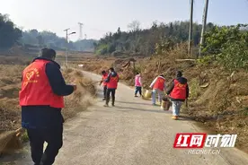 桃江县浮邱山乡开展“干干净净迎新春”村庄清洁行动图片