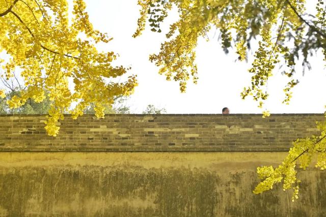 美翻了！南湖，正是红橙黄绿时