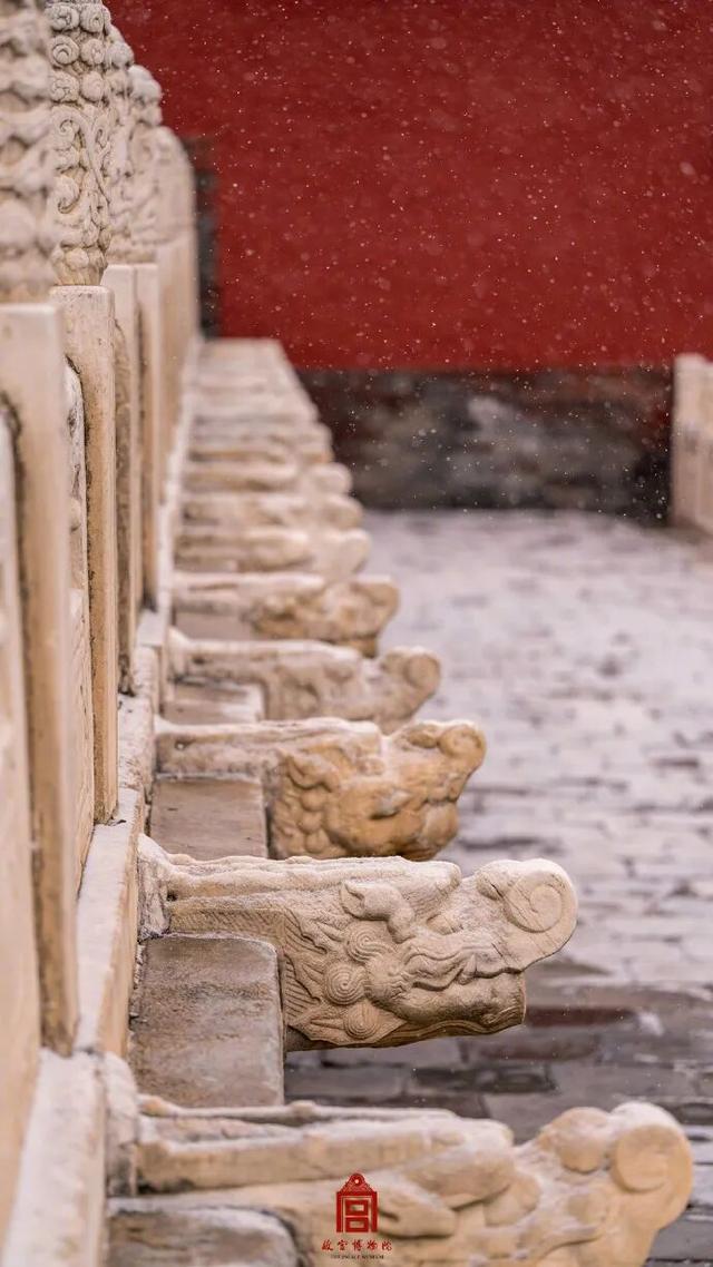 北京，下雪啦！（多图）