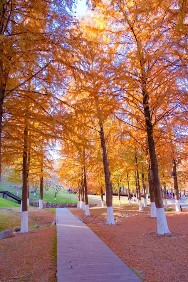 本周六锁定汤山矿坑！看免费演出逛热闹市集，2026「水韵江苏・邀您过大年」我们不见不散！