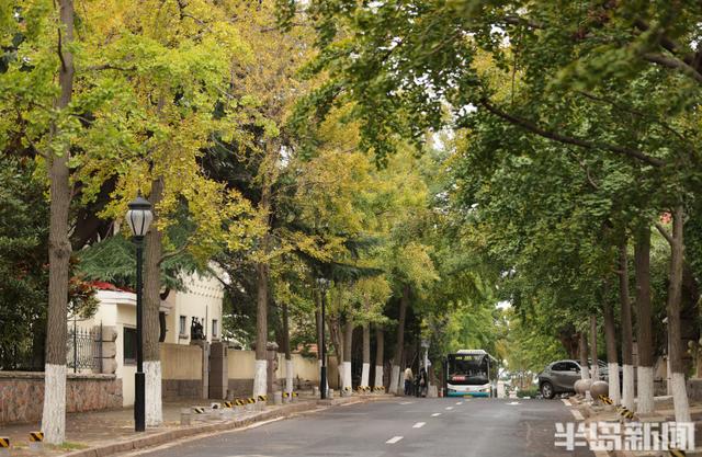 网红路，藏不住的秋意