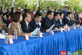 镇江举办“乡见四季 春光‘镇’好”乡村旅游嘉年华，“四季村晚”春季演出活动同步启幕图片