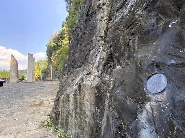 “金钉子”，面临失管难题