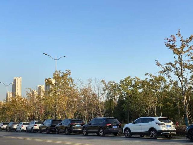 三林水森林未开先火，网络疯转“潜入攻略”！记者探访：确有不少游客；建设方：今年内完工，请静待开放