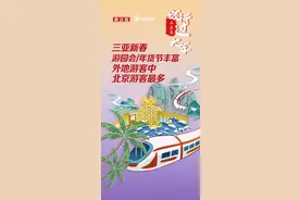 旅行过大年|游园会、年货节丰富 三亚外地游客中北京游客最多图片