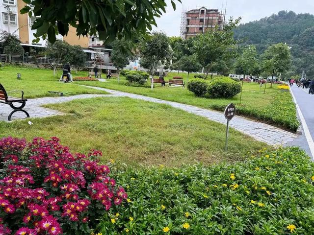 冬｜把时光染成斑斓诗行～