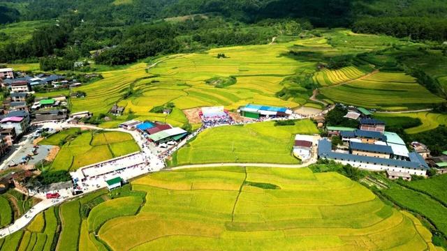 不用远行！龙岩就藏着五彩斑斓的秋色~