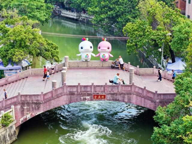 萌物来袭，“喜洋洋”和“乐融融”玩转望牛墩！