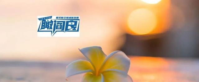 瞰·阎良——中航西飞C919 - 600外翼盒段大部件通过适航认证
