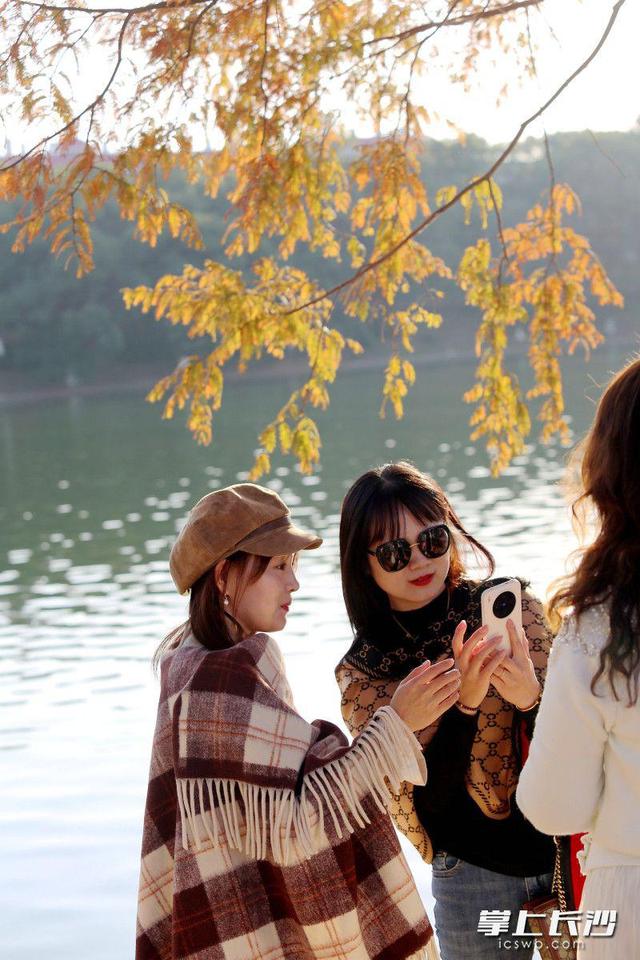 又是艳阳天，打卡人如潮｜组图