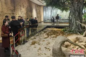 八天探访福建收获满满 日本《中国纪行》参访团返回东京图片