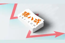 电商平台猪八戒三闯港交所 ：上半年营收2.5亿元，四大业务毛利下滑图片