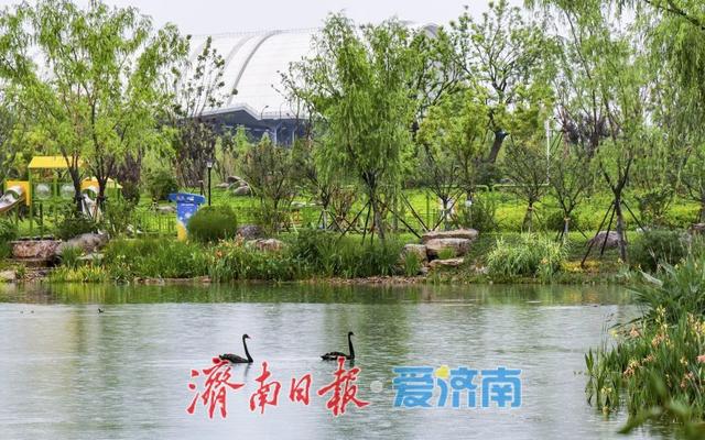 济南匠心守护泉脉擦亮泉水名片