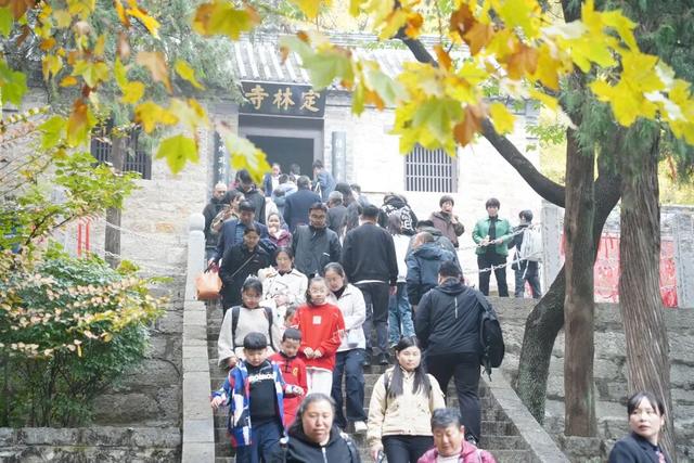 赵立坚微博打call日照银杏古树！附高清大图+进阶玩法！