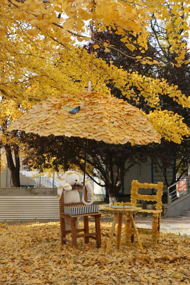 “银杏伞”火出圈！网友：不建议推广，因为我没有