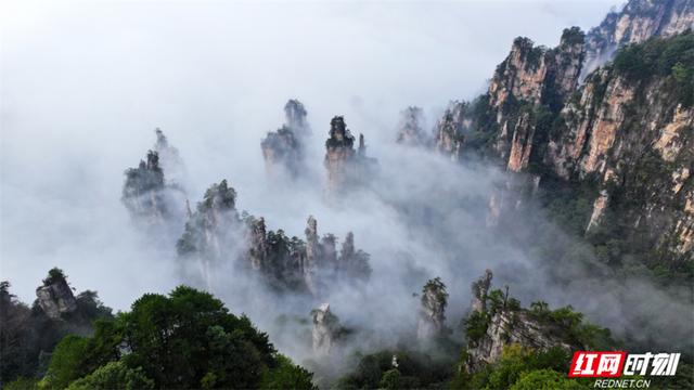 张家界错峰游热度高 天子山云海胜景醉游客