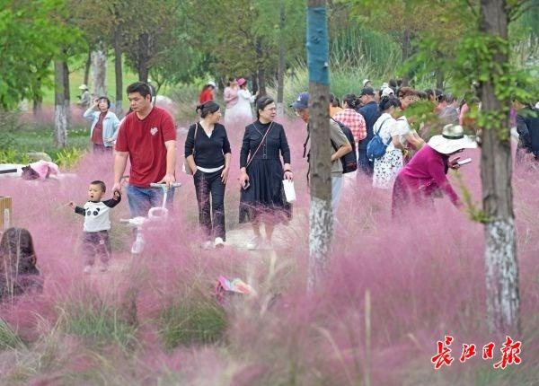 武昌江滩邂逅秋日浪漫