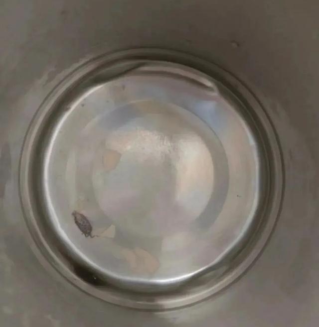 “摸过键盘的手千万别摸脸”上热搜！脏到你想不到！办公室最脏的7样东西，你可能天天在用！