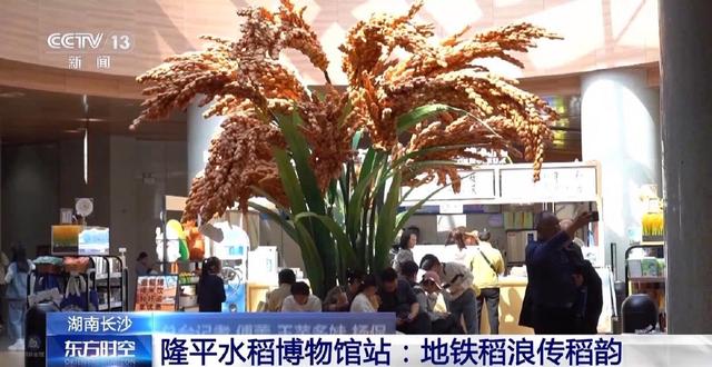 融合生态景观、地域文化等 这些地铁站实现出入即赏景