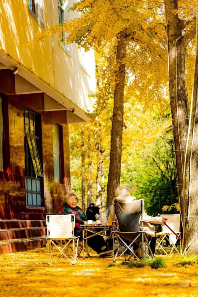 滴！重阳暖心免票福利→这张秋日『头等舱』车票请签收！