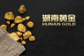 价值6000亿元的金矿刷屏，湖南黄金两连板！公司：只在周围有部分布局图片