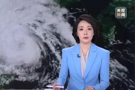 专家分析 台风“竹节草”有哪些特点