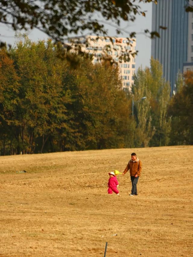 听，呼和浩特秋天的BGM正在你耳边播放
