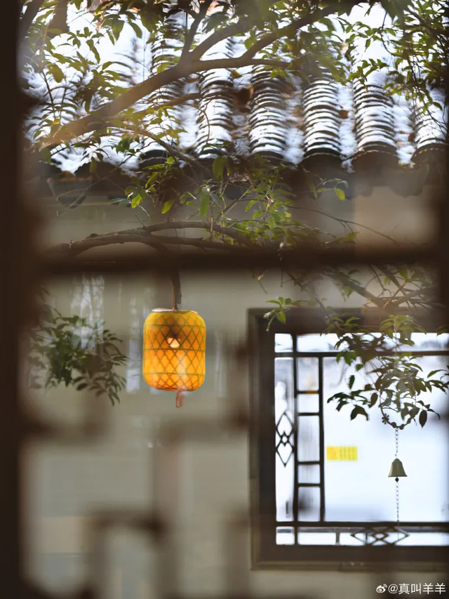 这个元旦假期，把时光“浪费”在秦淮最美的园子里~