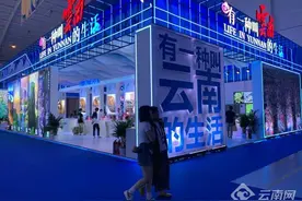 “让文物活起来，把博物馆带回家”——博物馆文创走进南博会图片