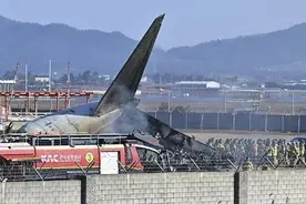 资深机长解析事故原因！韩国客机失事后的24小时，发生了什么？图片