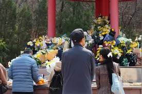 鲜花和黄丝带寄哀思，济南各陵园推广文明祭扫图片