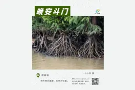 最新！白藤体育中心，有进展...丨晚安斗门图片