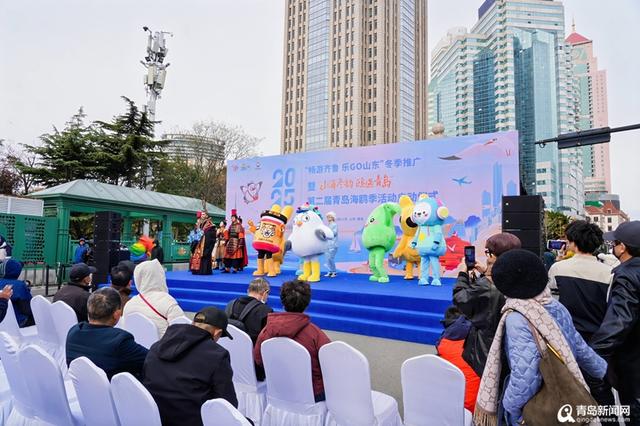 “山海冬韵·鸥遇青岛”2025青岛海鸥季活动拉开冬游青岛序幕