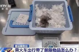 榴莲能带不能吃，烟、酒携带有限制！你准备的年货是否能带上车？快来了解一下！图片